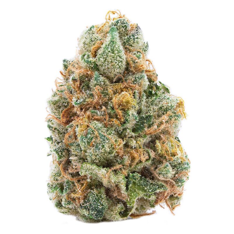 GMO Cookies by Spinach - GMO Cookies 3.5g Dried Flower