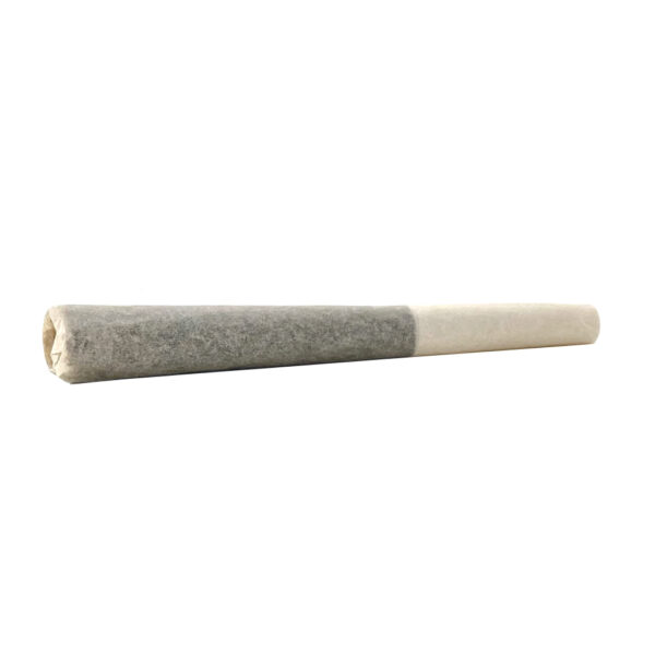 Iced Cream Infusion Infused Pre-Roll 1x0.5g