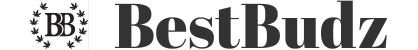 bestbudz-logo-header